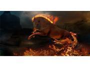 Flaming Horse Photo License Plate Free Personalization on this Plate