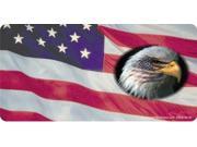 American Flag with Eagle Offset License Plate Free Names on Plate