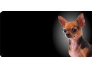 Chihuahua Dog Photo License Plate Free Personalization on this Plate