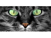 Green Cat Eyes Photo License Plate