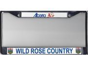 Alberta Wild Rose Country License Plate Frame Free Screw Caps with this Frame