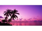 Purple Palm Tree Beach Scene Photo License Plate Free Personalization on this Plate