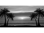 Grey Palm Tree Sunset Photo License Plate Free Personalization on this plate