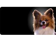 Papillon Dog Photo License Plate Free Personalization on this plate