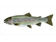 Rainbow Trout Mounted On White Photo License Plate