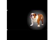 English Bulldog Photo License Plate Free Personalization on this plate