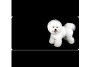 Bichon Frise Dog Photo License Plate Free Personalization on this plate
