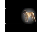 English Mastiff Dog Photo License Plate Free Personalization on this plate