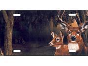 Offset Deer and Buck in Woods License Plate