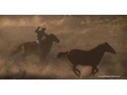 Cowboy Roping Horse Photo License Plate Free Personalization on this Plate