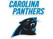 Carolina Panthers Team Magnet Set