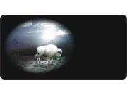 Offset White Buffalo Bison Photo License Plate Free Personalization on this plate