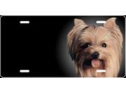 Yorkshire Terrier Airbrush License Plate Free Names on this Air Brush