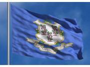 Connecticut State Flag 4 x 6 Nylon