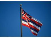 Hawaii State Flag 4 x 6 Nylon