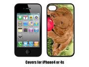 Curly Coated Retriever Cell Phone cover IPHONE4