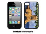Briard Cell Phone cover IPHONE4