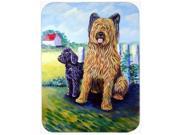Briard Training Day for the puppy Glass Cutting Board Large
