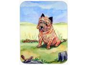 Cairn Terrier and the chipmunk Glass Cutting Board Large