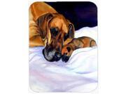 Fawn Natural Great Dane and Puppy Glass Cutting Board Large