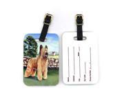 Pair of 2 Briard by the stone fence Luggage Tags