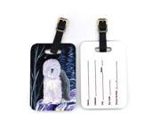 Starry Night Old English Sheepdog Luggage Tags Pair of 2