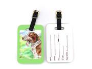 Pair of 2 Italiano Spinone Luggage Tags