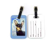 Pair of 2 Min Pin Luggage Tags