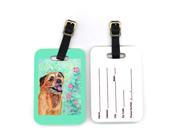 Pair of 2 Border Terrier Luggage Tags