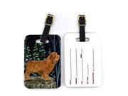 Pair of 2 Sussex Spaniel Luggage Tags