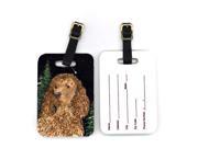 Pair of 2 American Water Spaniel Luggage Tags