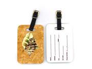 Pair of Shell Luggage Tags