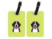Pair of Checkerboard Lime Green Bernese Mountain Dog Luggage Tags BB1299BT