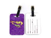 Pair of Seahorse Luggage Tags