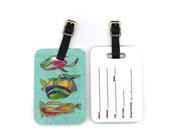 Pair of Tropical Fish on Teal Luggage Tags