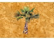 Palm Tree on Gold Fabric Placemat 8706PLMT