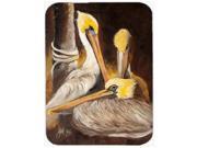 Brown Pelicans Glass Cutting Board Large JMK1146LCB