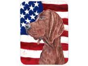 Redbone Coonhound with American Flag USA Glass Cutting Board Large Size SC9635LCB