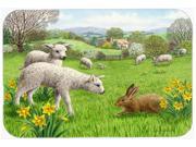 Lambs Sheep and Rabbit Hare Kitchen or Bath Mat 24x36 ASA2179JCMT