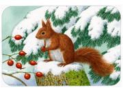 Winter Red Squirrel Kitchen or Bath Mat 24x36 ASA2172JCMT