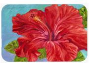 Red Hibiscus by Malenda Trick Glass Cutting Board Large TMTR0319LCB