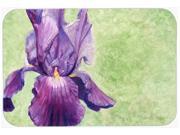 Purple Iris by Malenda Trick Kitchen or Bath Mat 24x36 TMTR0234JCMT