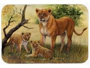Lion and Cubs by Daphne Baxter Kitchen or Bath Mat 24x36 BDBA0307JCMT