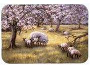 Sheep by Daphne Baxter Kitchen or Bath Mat 24x36 BDBA0133JCMT