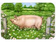 Pig In Dasies by Debbie Cook Kitchen or Bath Mat 20x30 CDCO0374CMT