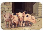 Pigs Piglets by Daphne Baxter Kitchen or Bath Mat 24x36 BDBA0225JCMT