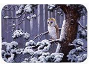 Owl on a Tree Branch in the Snow Glass Cutting Board Large BDBA0303LCB