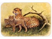 Cheetahs by Daphne Baxter Kitchen or Bath Mat 24x36 BDBA0113JCMT