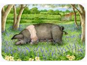 Pig In Bluebells by Debbie Cook Kitchen or Bath Mat 20x30 CDCO0377CMT