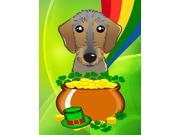 Wirehaired Dachshund St. Patrick s Day Flag Canvas House Size BB1977CHF